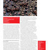 Revista Pausa