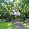 Caminata por el Parque de Salud
