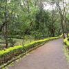 Caminata por el Parque de Salud